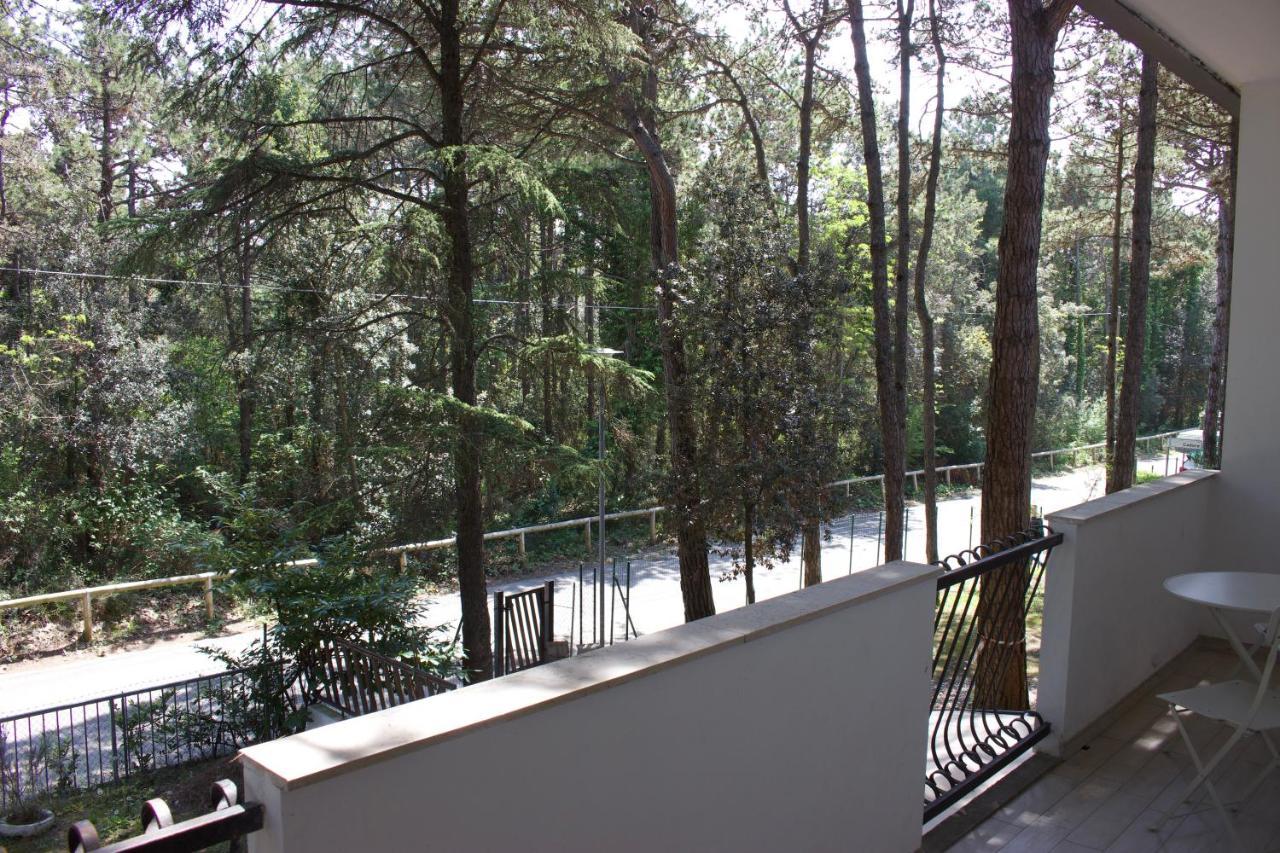 Apartment Antonietta 3, Tra Pineta E Mare *